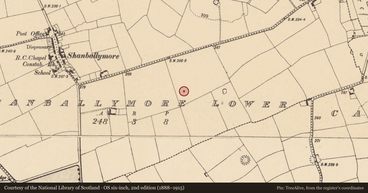 Ordnance Survey six-inch map, 2nd edition (1888–1915) covering the location of Ringfort - rath, Shanballymore Lower, County Cork, with a pin at the register's coordinates