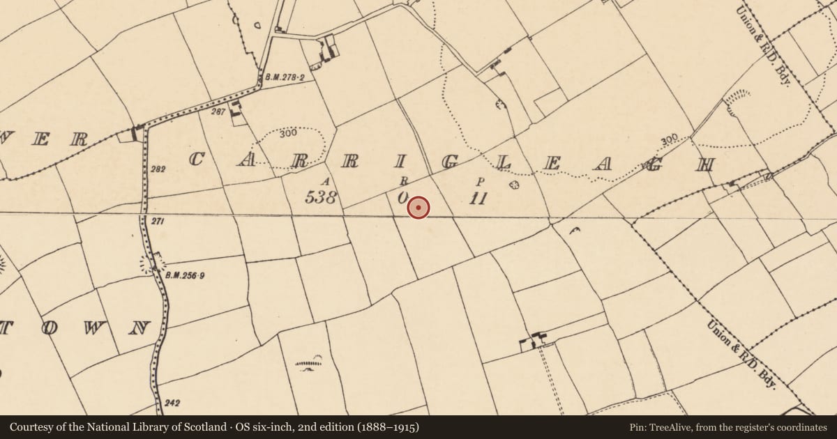 Ordnance Survey six-inch map, 2nd edition (1888–1915) covering the location of Ring-ditch, Carrigleagh (Fermoy By., Templeroan Par.), County Cork, with a pin at the register's coordinates