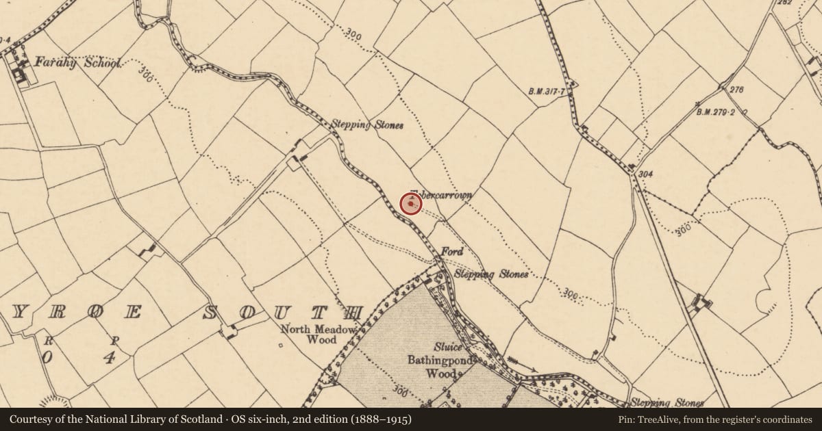Ordnance Survey six-inch map, 2nd edition (1888–1915) covering the location of Ritual site - holy well, Ballyshonock, County Cork, with a pin at the register's coordinates