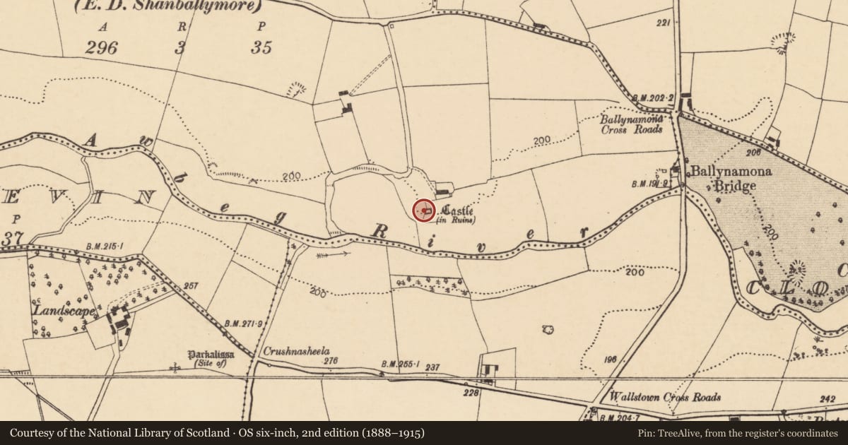 Ordnance Survey six-inch map, 2nd edition (1888–1915) covering the location of Sheela-na-gig, Ballynamona (Fermoy By., Templeroan Par.), County Cork, with a pin at the register's coordinates