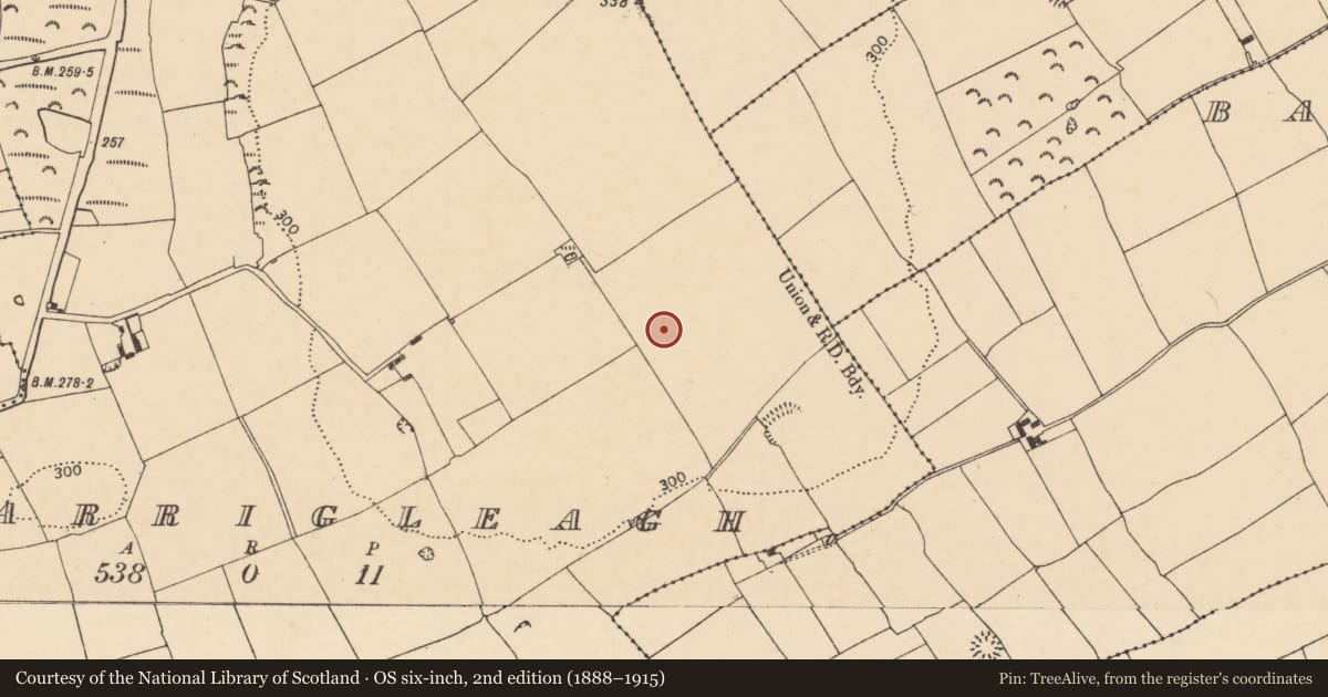 Ordnance Survey six-inch map, 2nd edition (1888–1915) covering the location of Fulacht fia, Carrigleagh (Fermoy By., Templeroan Par.), County Cork, with a pin at the register's coordinates