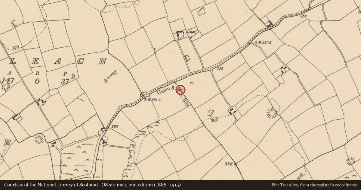 Ordnance Survey six-inch map, 2nd edition (1888–1915) covering the location of Burnt mound, Meadstown, County Cork, with a pin at the register's coordinates