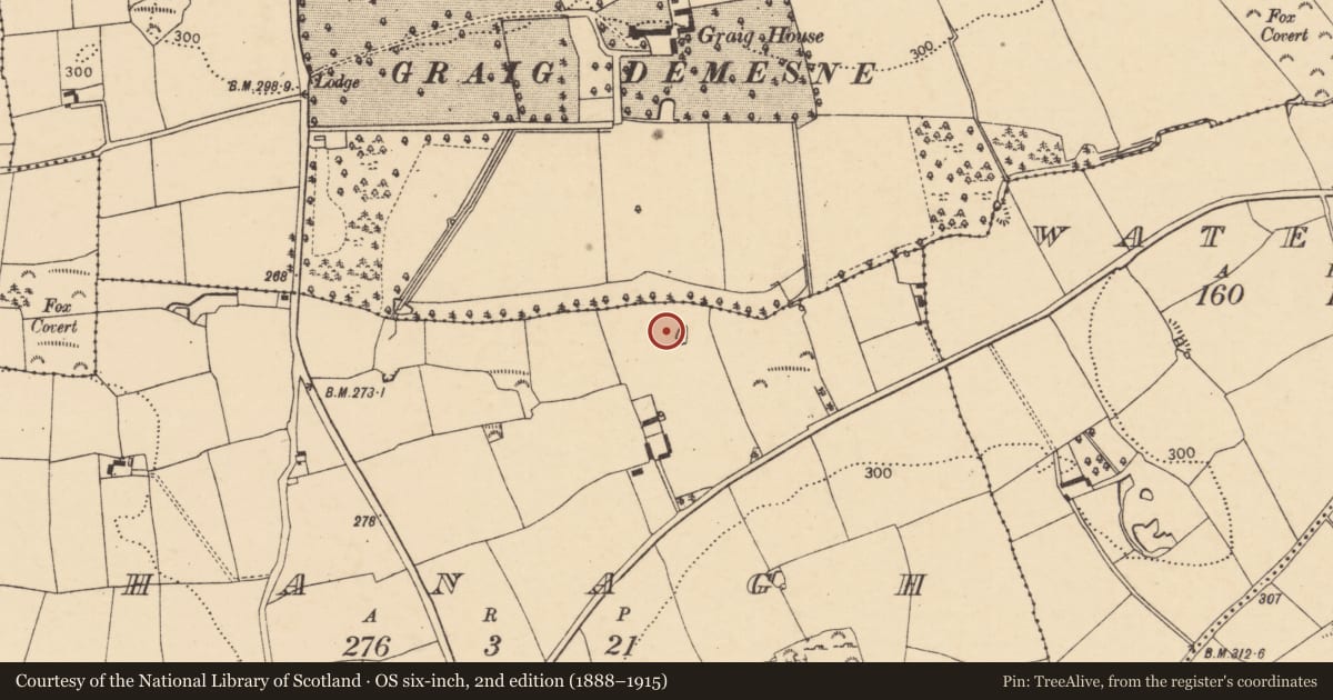 Ordnance Survey six-inch map, 2nd edition (1888–1915) covering the location of Fulacht fia, Shanagh, County Cork, with a pin at the register's coordinates