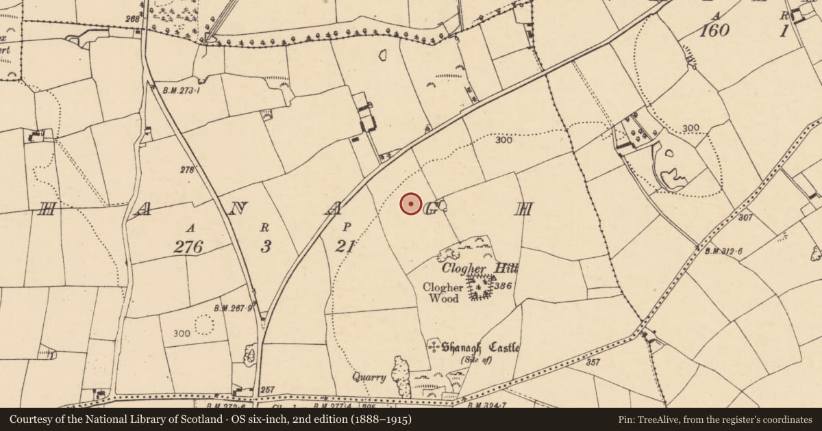 Ordnance Survey six-inch map, 2nd edition (1888–1915) covering the location of Fulacht fia, Shanagh, County Cork, with a pin at the register's coordinates