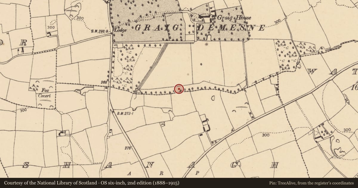 Ordnance Survey six-inch map, 2nd edition (1888–1915) covering the location of Burnt mound, Graig Upper, County Cork, with a pin at the register's coordinates