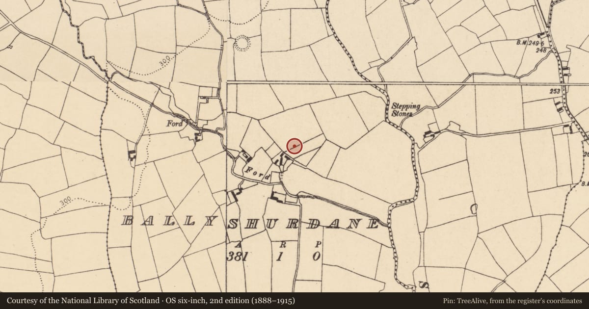 Ordnance Survey six-inch map, 2nd edition (1888–1915) covering the location of Standing stone, Ballyshurdane, County Cork, with a pin at the register's coordinates