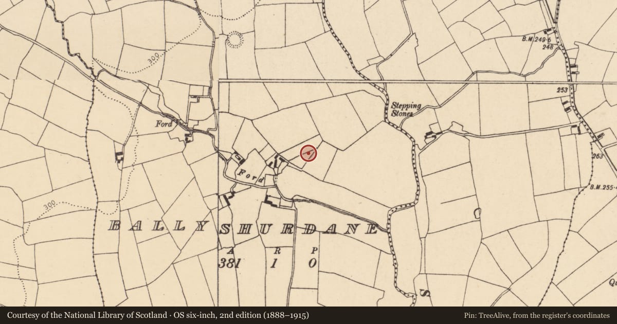 Ordnance Survey six-inch map, 2nd edition (1888–1915) covering the location of Cist, Ballyshurdane, County Cork, with a pin at the register's coordinates