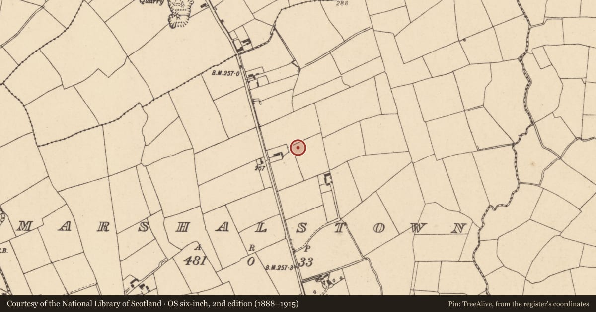 Ordnance Survey six-inch map, 2nd edition (1888–1915) covering the location of Ringfort - rath, Marshalstown, County Cork, with a pin at the register's coordinates