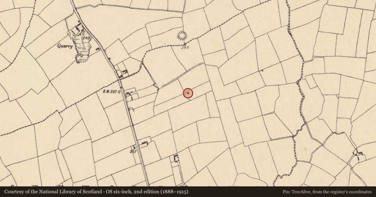 Ordnance Survey six-inch map, 2nd edition (1888–1915) covering the location of Enclosure, Marshalstown, County Cork, with a pin at the register's coordinates