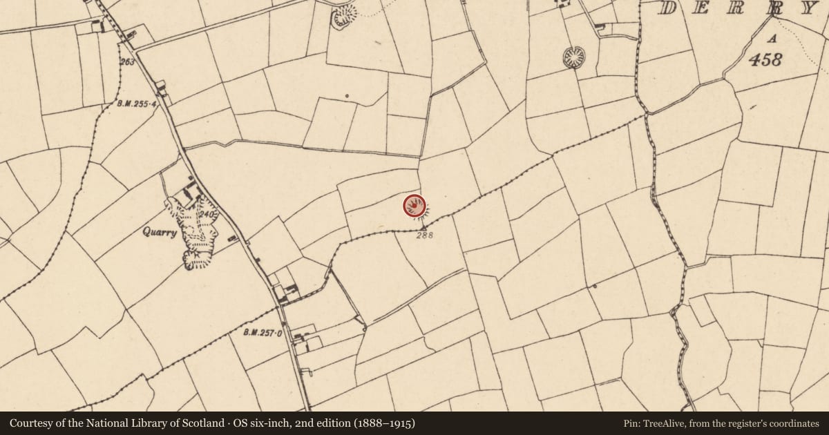 Ordnance Survey six-inch map, 2nd edition (1888–1915) covering the location of Ringfort - rath, Curraghgorm, County Cork, with a pin at the register's coordinates