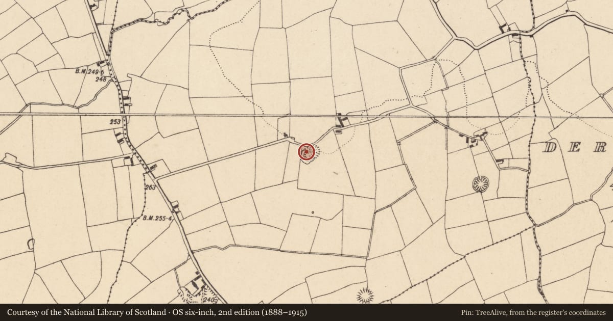 Ordnance Survey six-inch map, 2nd edition (1888–1915) covering the location of Ringfort - rath, Curraghgorm, County Cork, with a pin at the register's coordinates