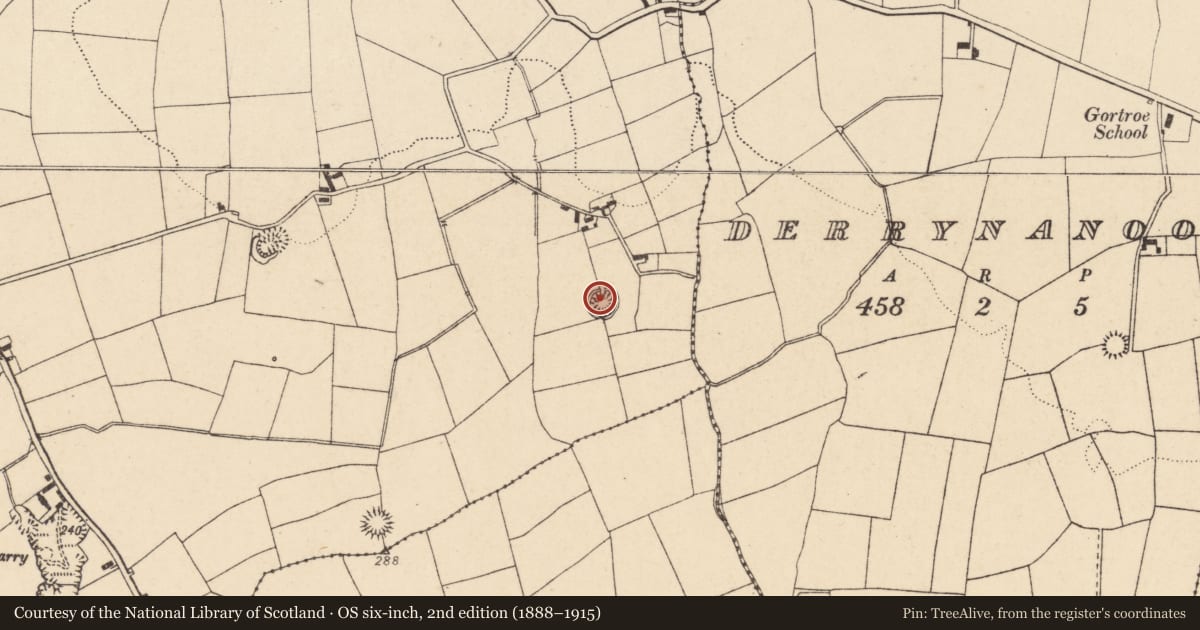 Ordnance Survey six-inch map, 2nd edition (1888–1915) covering the location of Ringfort - rath, Curraghgorm, County Cork, with a pin at the register's coordinates