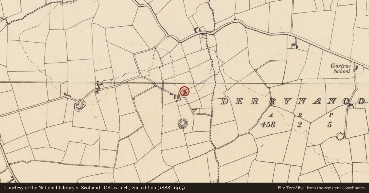 Ordnance Survey six-inch map, 2nd edition (1888–1915) covering the location of House - vernacular house, Curraghgorm, County Cork, with a pin at the register's coordinates