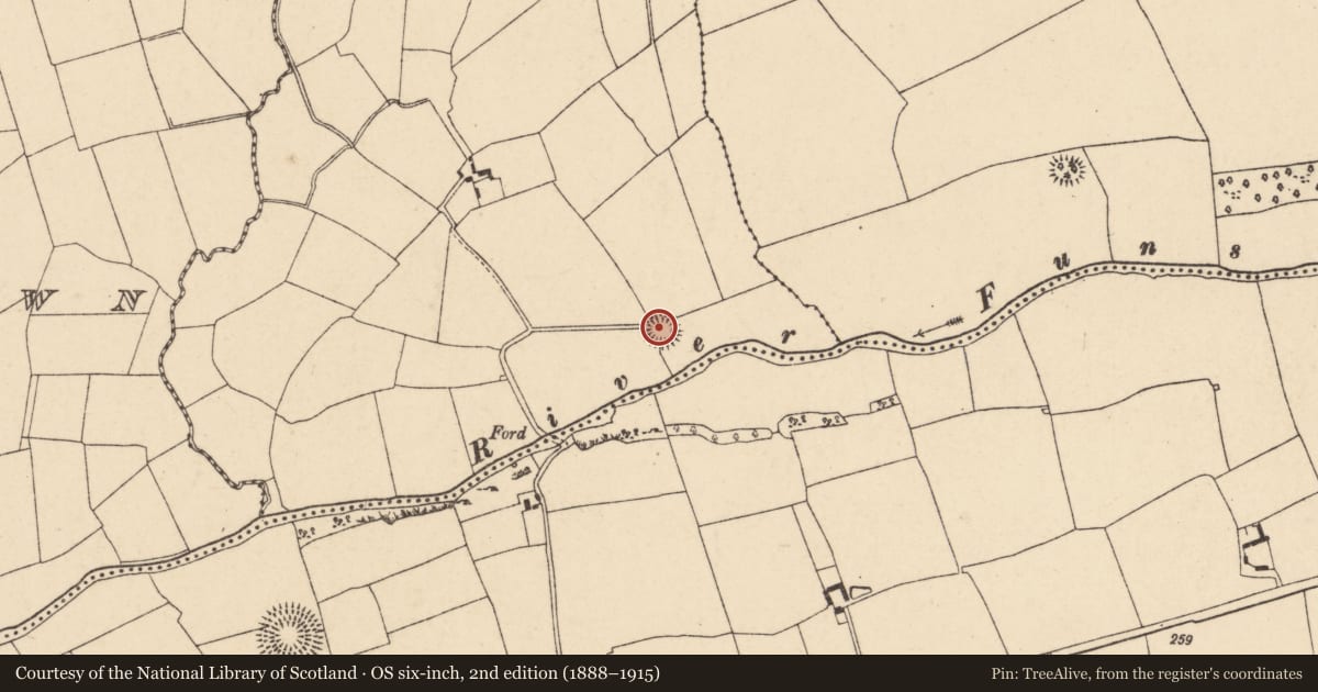 Ordnance Survey six-inch map, 2nd edition (1888–1915) covering the location of Ringfort - rath, Derrynanool, County Cork, with a pin at the register's coordinates