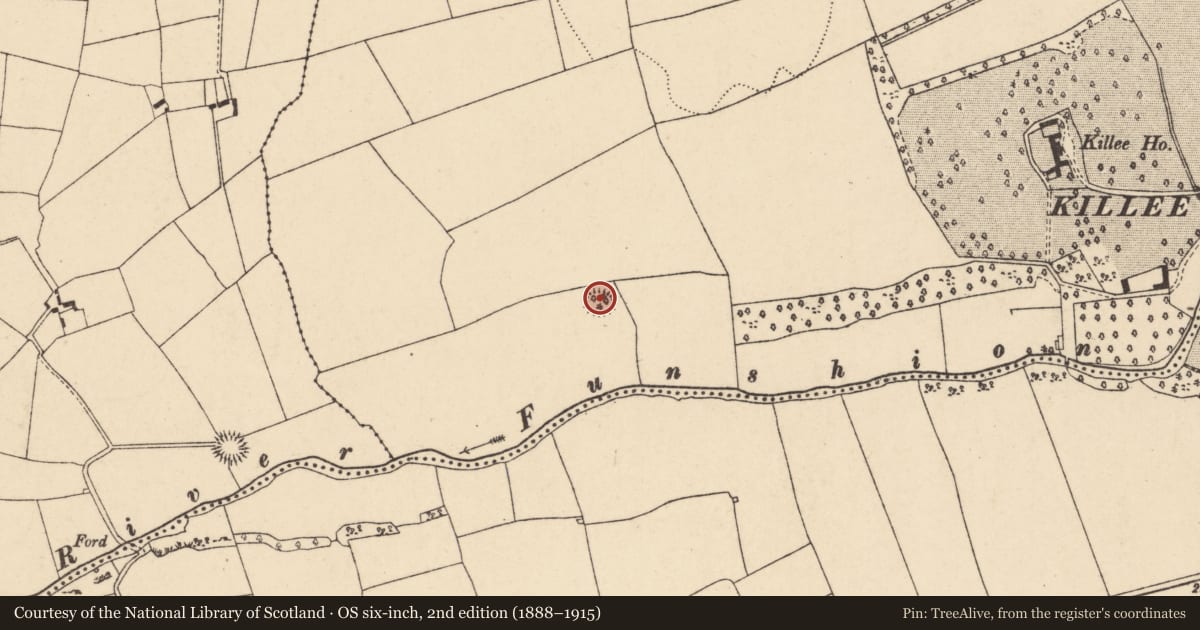 Ordnance Survey six-inch map, 2nd edition (1888–1915) covering the location of Ringfort - rath, Killee, County Cork, with a pin at the register's coordinates