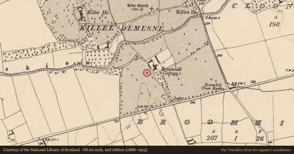Ordnance Survey six-inch map, 2nd edition (1888–1915) covering the location of Ringfort - rath, Broomhill, County Cork, with a pin at the register's coordinates