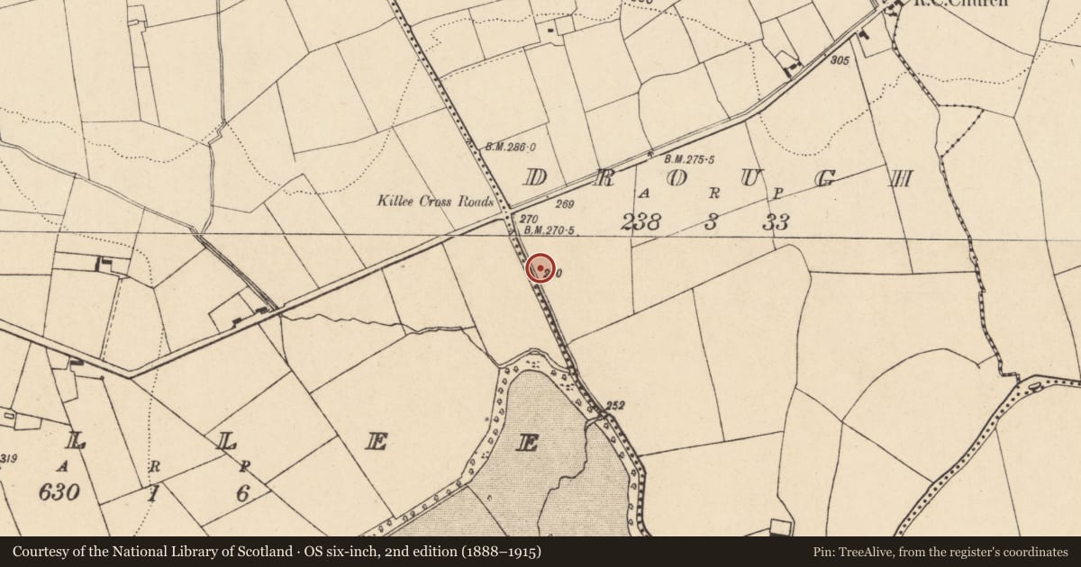 Ordnance Survey six-inch map, 2nd edition (1888–1915) covering the location of Fulacht fia, Drough, County Cork, with a pin at the register's coordinates