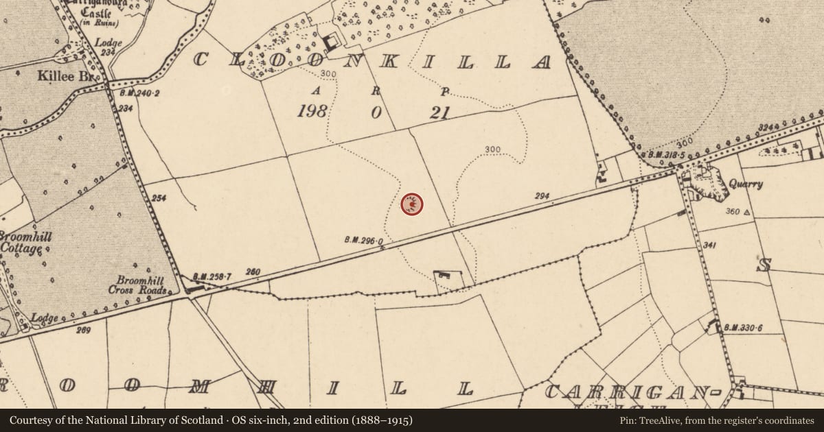 Ordnance Survey six-inch map, 2nd edition (1888–1915) covering the location of Ringfort - rath, Cloonkilla, County Cork, with a pin at the register's coordinates