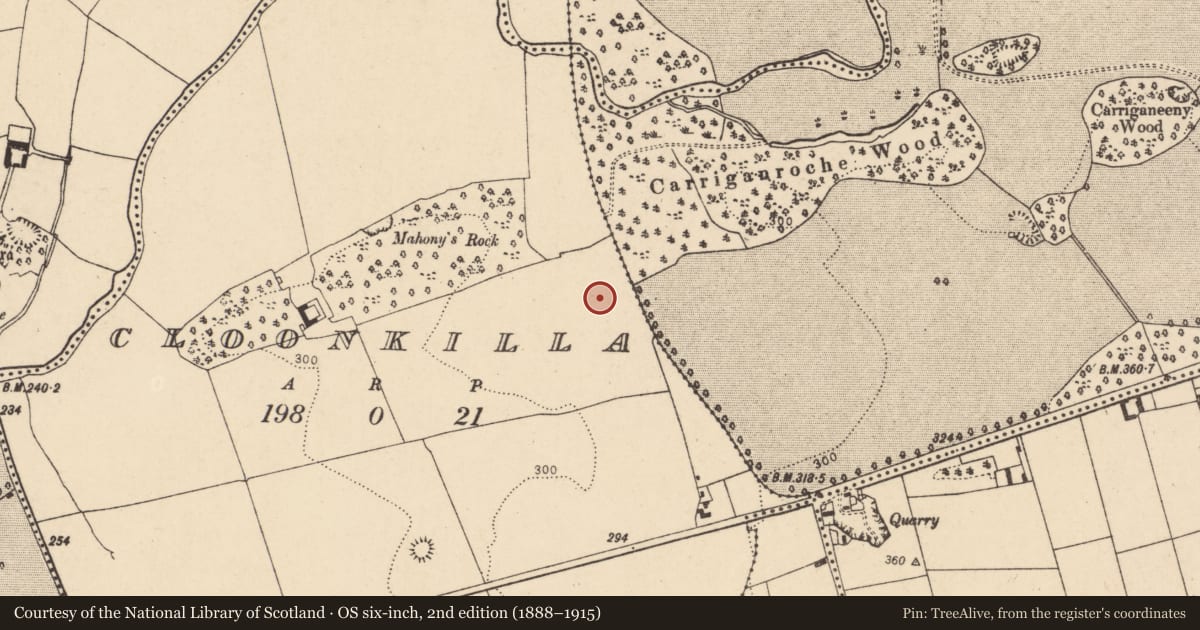 Ordnance Survey six-inch map, 2nd edition (1888–1915) covering the location of Designed landscape - tree-ring, Cloonkilla, County Cork, with a pin at the register's coordinates