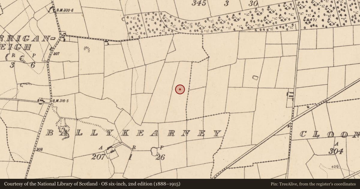 Ordnance Survey six-inch map, 2nd edition (1888–1915) covering the location of Fulacht fia, Ballykearney, County Cork, with a pin at the register's coordinates