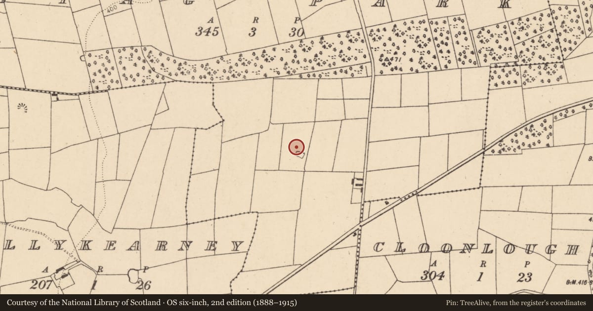 Ordnance Survey six-inch map, 2nd edition (1888–1915) covering the location of Fulacht fia, Stag Park, County Cork, with a pin at the register's coordinates