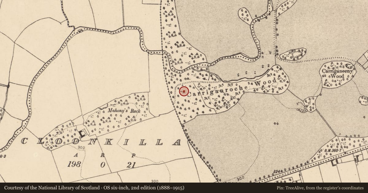 Ordnance Survey six-inch map, 2nd edition (1888–1915) covering the location of Ringfort - rath, Mitchelstown, County Cork, with a pin at the register's coordinates