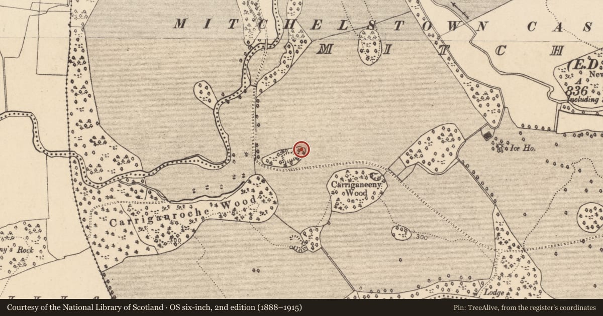 Ordnance Survey six-inch map, 2nd edition (1888–1915) covering the location of Hut site, Mitchelstown, County Cork, with a pin at the register's coordinates