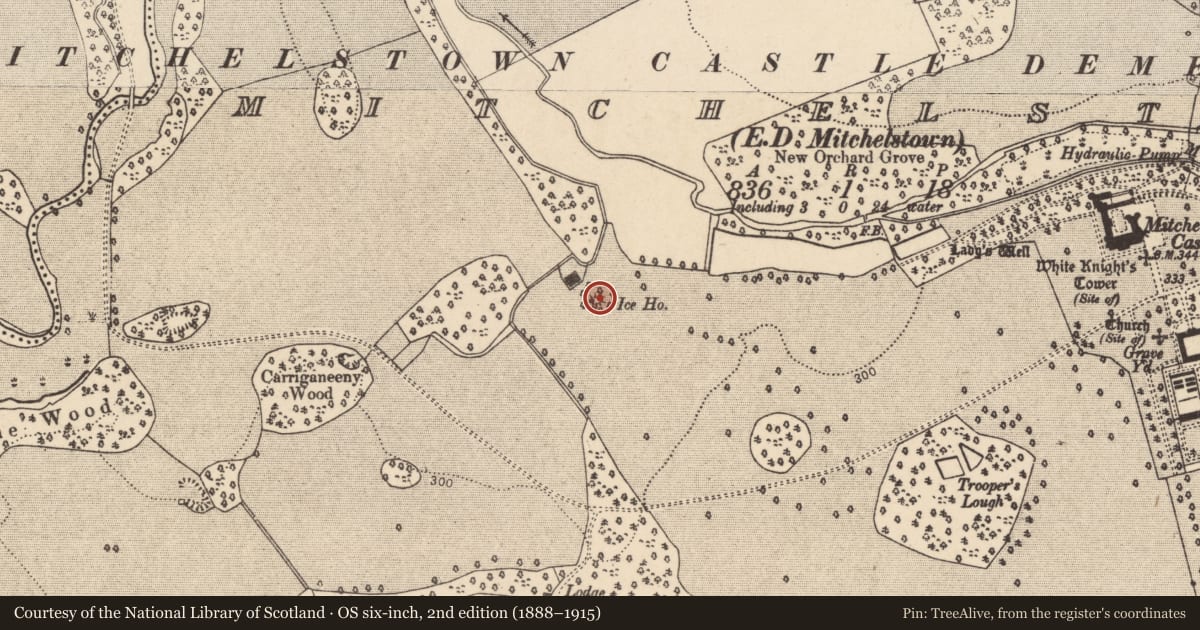 Ordnance Survey six-inch map, 2nd edition (1888–1915) covering the location of Icehouse, Mitchelstown, County Cork, with a pin at the register's coordinates