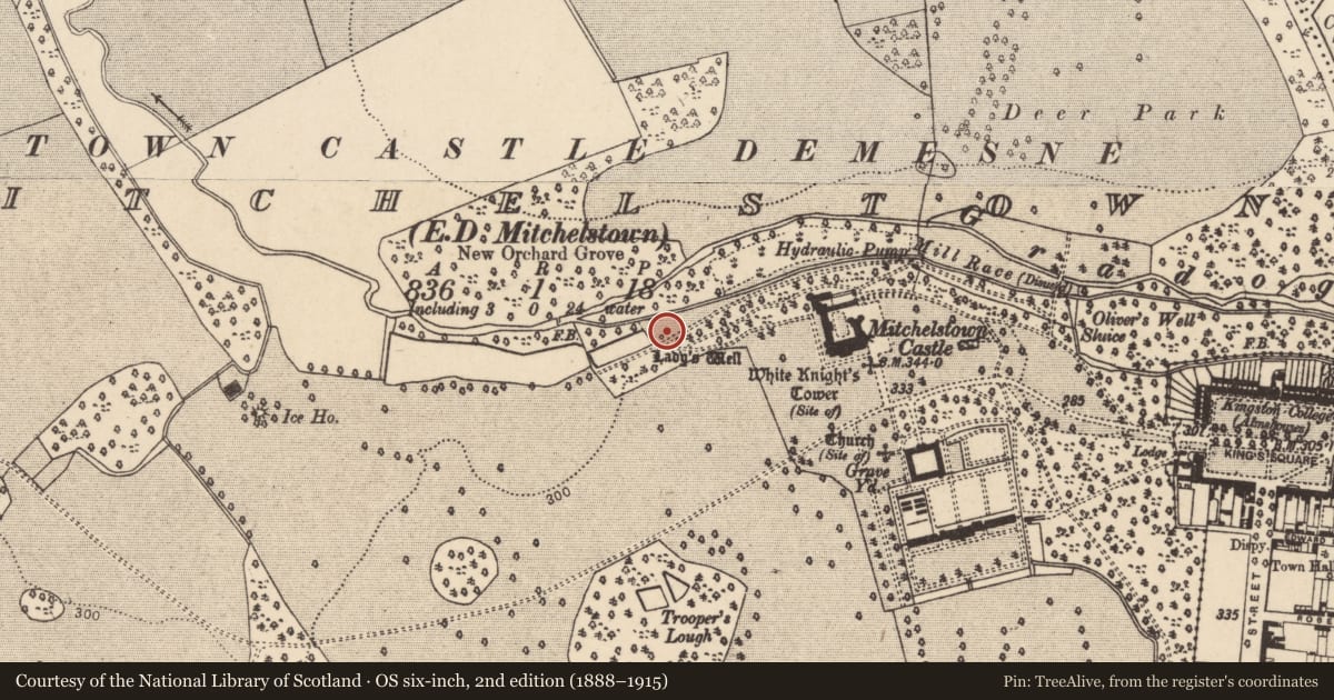 Ordnance Survey six-inch map, 2nd edition (1888–1915) covering the location of Ritual site - holy well, Mitchelstown, County Cork, with a pin at the register's coordinates