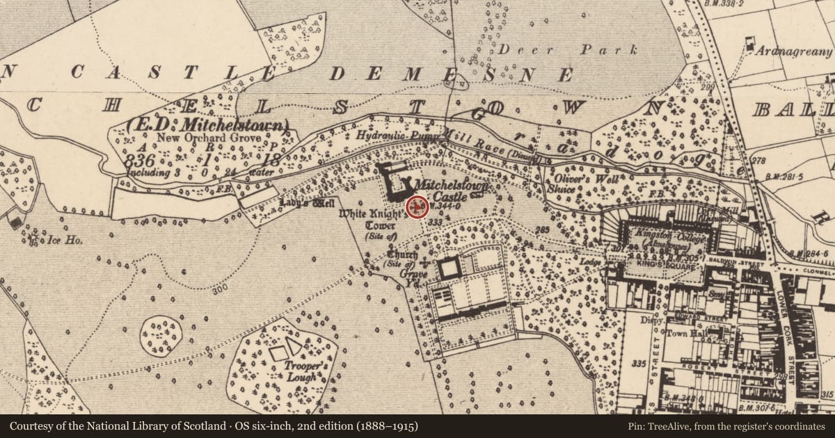 Ordnance Survey six-inch map, 2nd edition (1888–1915) covering the location of Castle - unclassified, Mitchelstown, County Cork, with a pin at the register's coordinates