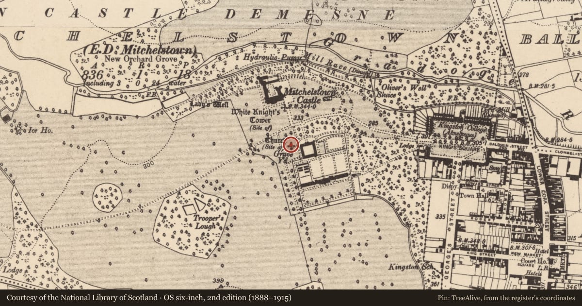Ordnance Survey six-inch map, 2nd edition (1888–1915) covering the location of Graveyard, Mitchelstown, County Cork, with a pin at the register's coordinates
