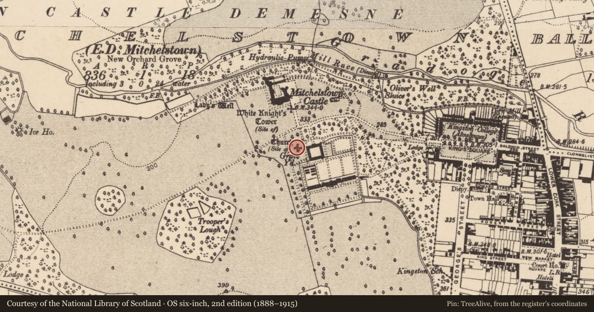 Ordnance Survey six-inch map, 2nd edition (1888–1915) covering the location of Church, Mitchelstown, County Cork, with a pin at the register's coordinates