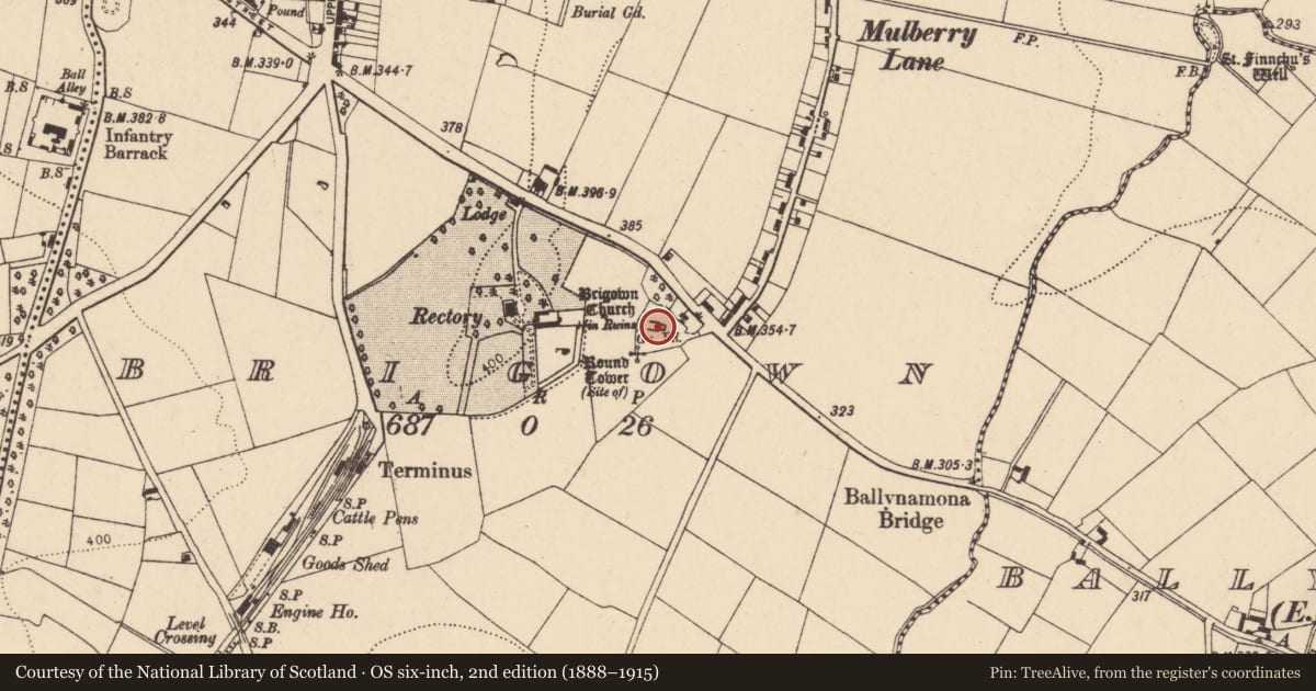 Ordnance Survey six-inch map, 2nd edition (1888–1915) covering the location of Graveyard, Brigown, County Cork, with a pin at the register's coordinates