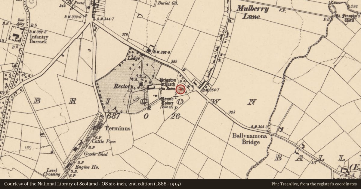Ordnance Survey six-inch map, 2nd edition (1888–1915) covering the location of Church, Brigown, County Cork, with a pin at the register's coordinates