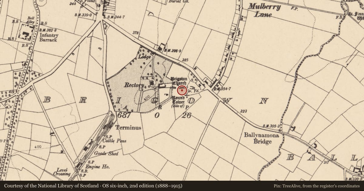Ordnance Survey six-inch map, 2nd edition (1888–1915) covering the location of Ecclesiastical enclosure, Brigown, County Cork, with a pin at the register's coordinates