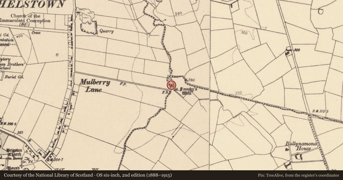 Ordnance Survey six-inch map, 2nd edition (1888–1915) covering the location of Ritual site - holy well, Ballynamona (Condons and Clongibbon By., Brigown Par.), County Cork, with a pin at the register's coordinates