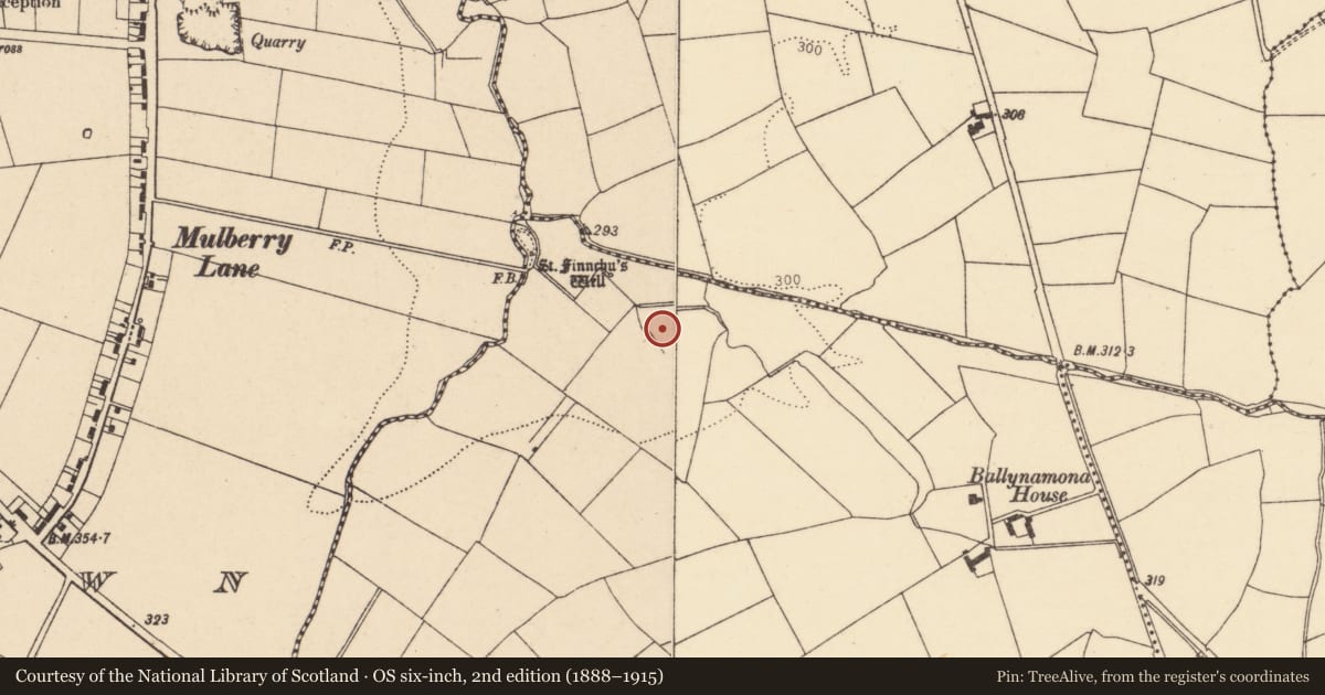 Ordnance Survey six-inch map, 2nd edition (1888–1915) covering the location of Fulacht fia, Ballynamona (Condons and Clongibbon By., Brigown Par.), County Cork, with a pin at the register's coordinates