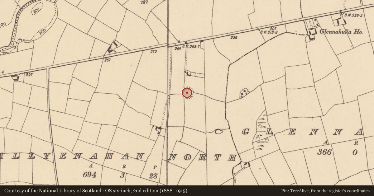 Ordnance Survey six-inch map, 2nd edition (1888–1915) covering the location of Ringfort - rath, Ballyenahan North, County Cork, with a pin at the register's coordinates