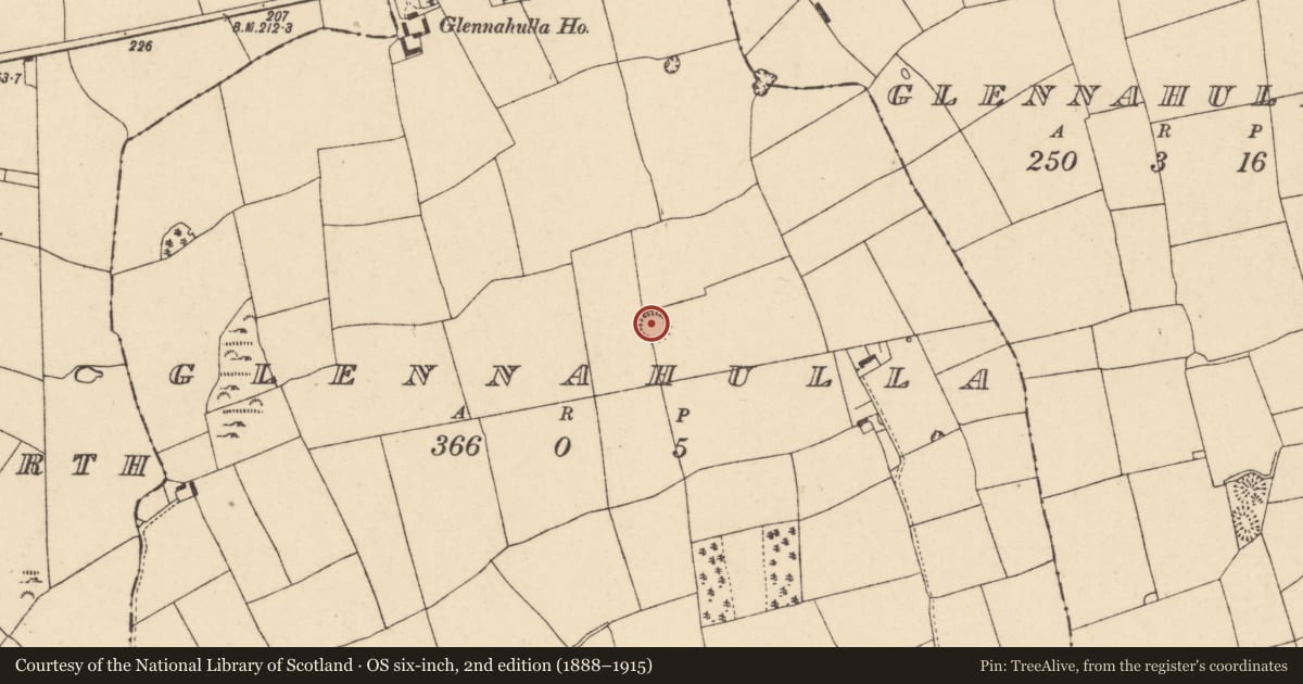 Ordnance Survey six-inch map, 2nd edition (1888–1915) covering the location of Ringfort - rath, Glennahulla, County Cork, with a pin at the register's coordinates