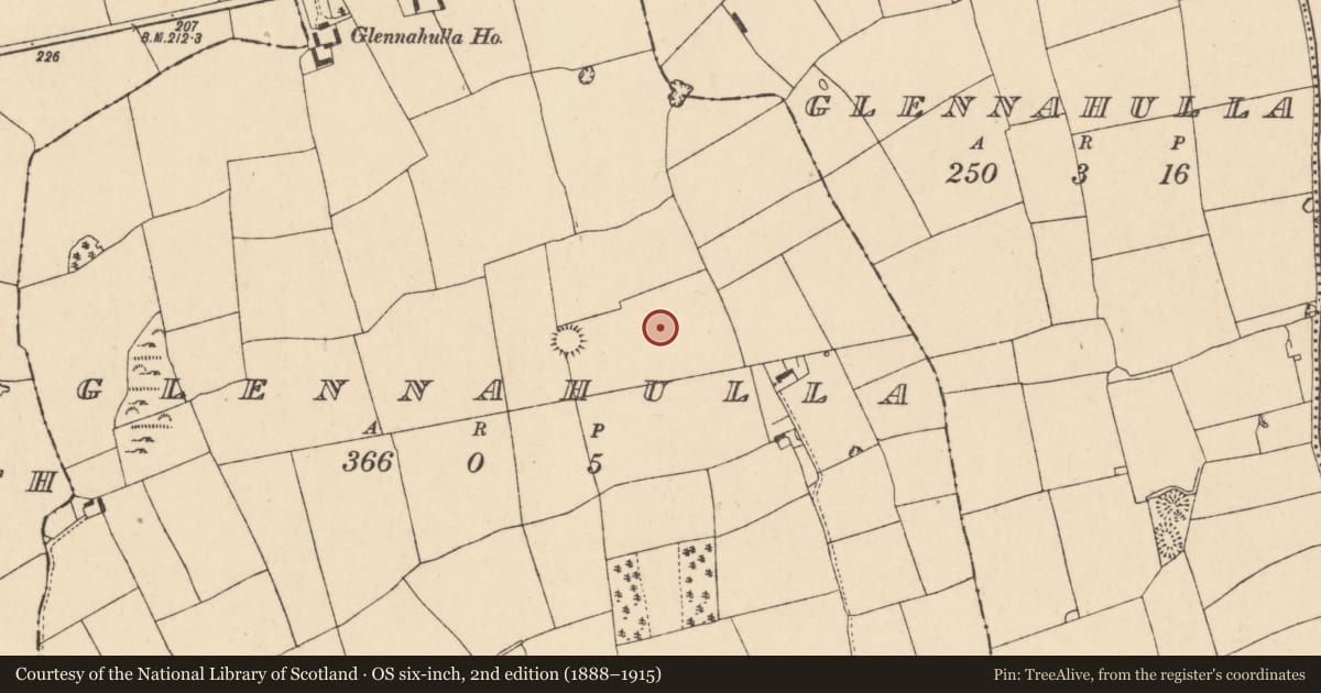 Ordnance Survey six-inch map, 2nd edition (1888–1915) covering the location of Ringfort - rath, Glennahulla, County Cork, with a pin at the register's coordinates