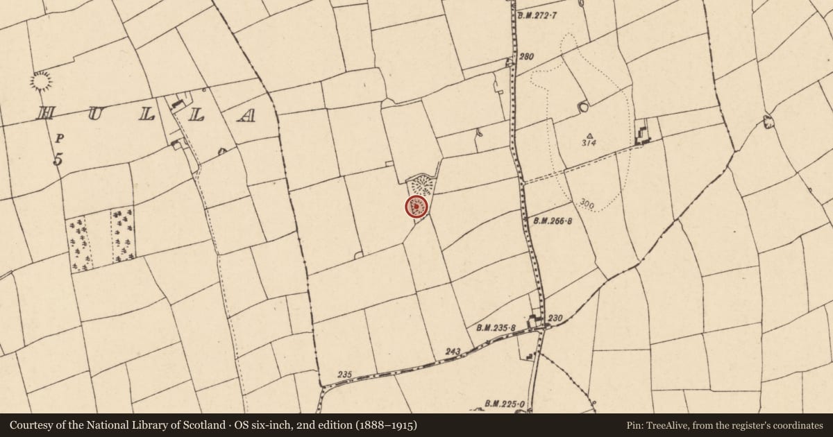 Ordnance Survey six-inch map, 2nd edition (1888–1915) covering the location of Ringfort - rath, Glennahulla, County Cork, with a pin at the register's coordinates