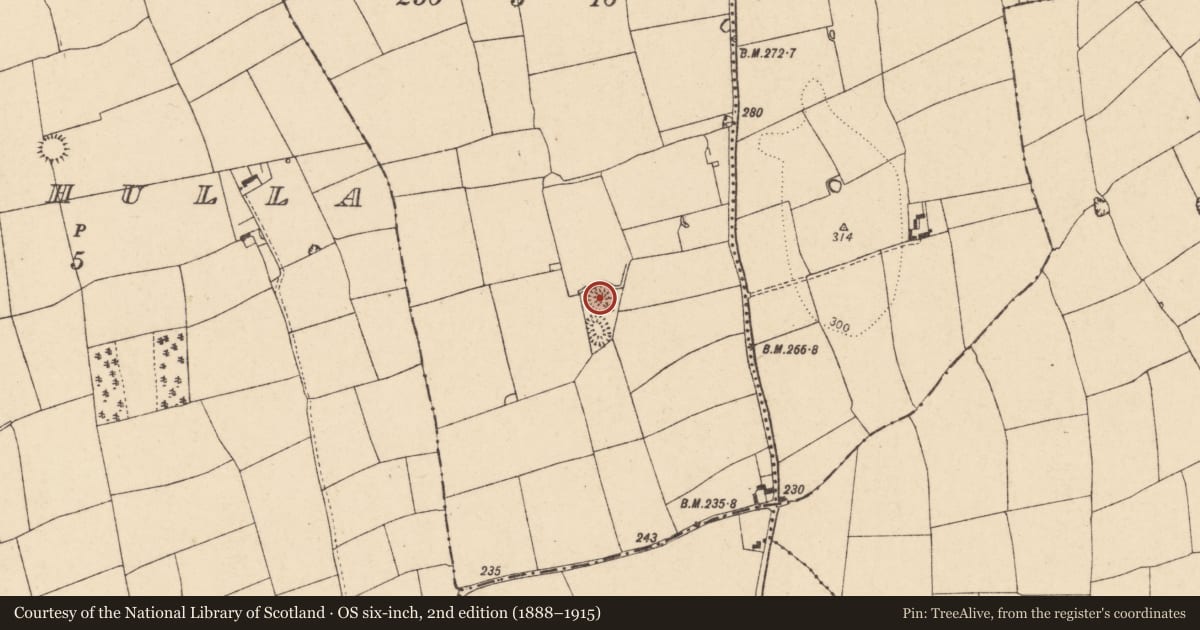 Ordnance Survey six-inch map, 2nd edition (1888–1915) covering the location of Ringfort - rath, Glennahulla, County Cork, with a pin at the register's coordinates