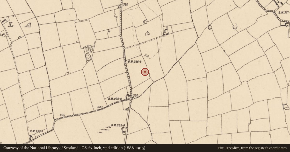 Ordnance Survey six-inch map, 2nd edition (1888–1915) covering the location of Ringfort - rath, Cloghleafin (Condons and Clongibbon By., Marshalstown Par.), County Cork, with a pin at the register's coordinates