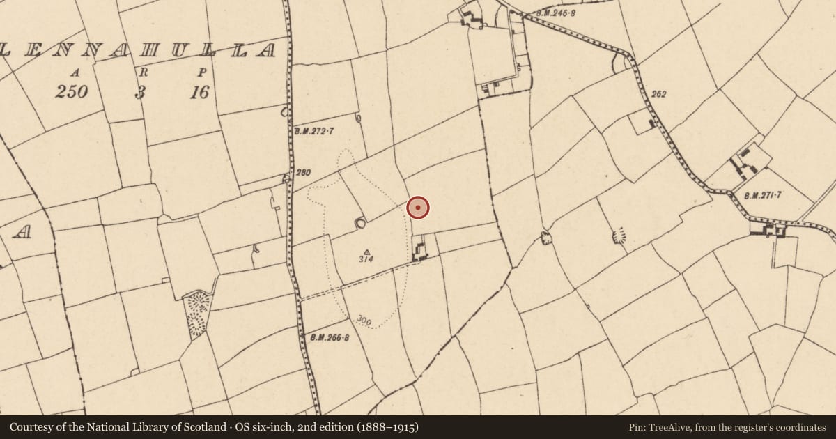 Ordnance Survey six-inch map, 2nd edition (1888–1915) covering the location of Enclosure, Cloghleafin (Condons and Clongibbon By., Marshalstown Par.), County Cork, with a pin at the register's coordinates
