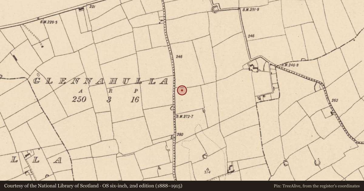 Ordnance Survey six-inch map, 2nd edition (1888–1915) covering the location of Ringfort - rath, Cloghleafin (Condons and Clongibbon By., Marshalstown Par.), County Cork, with a pin at the register's coordinates
