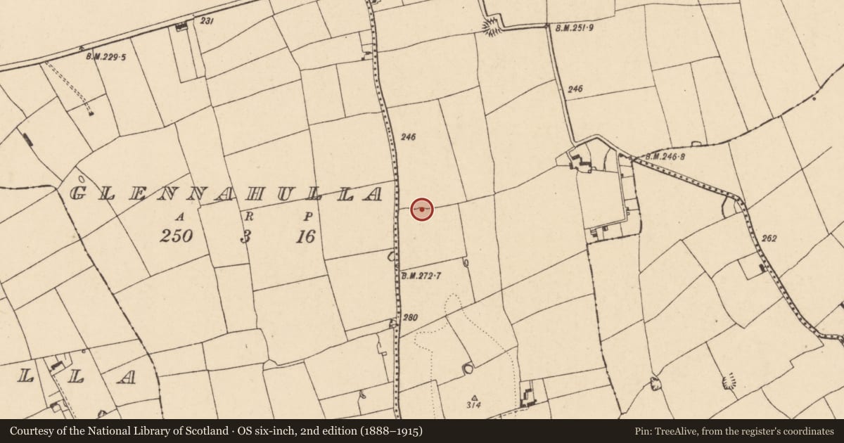 Ordnance Survey six-inch map, 2nd edition (1888–1915) covering the location of Cist, Cloghleafin (Condons and Clongibbon By., Marshalstown Par.), County Cork, with a pin at the register's coordinates