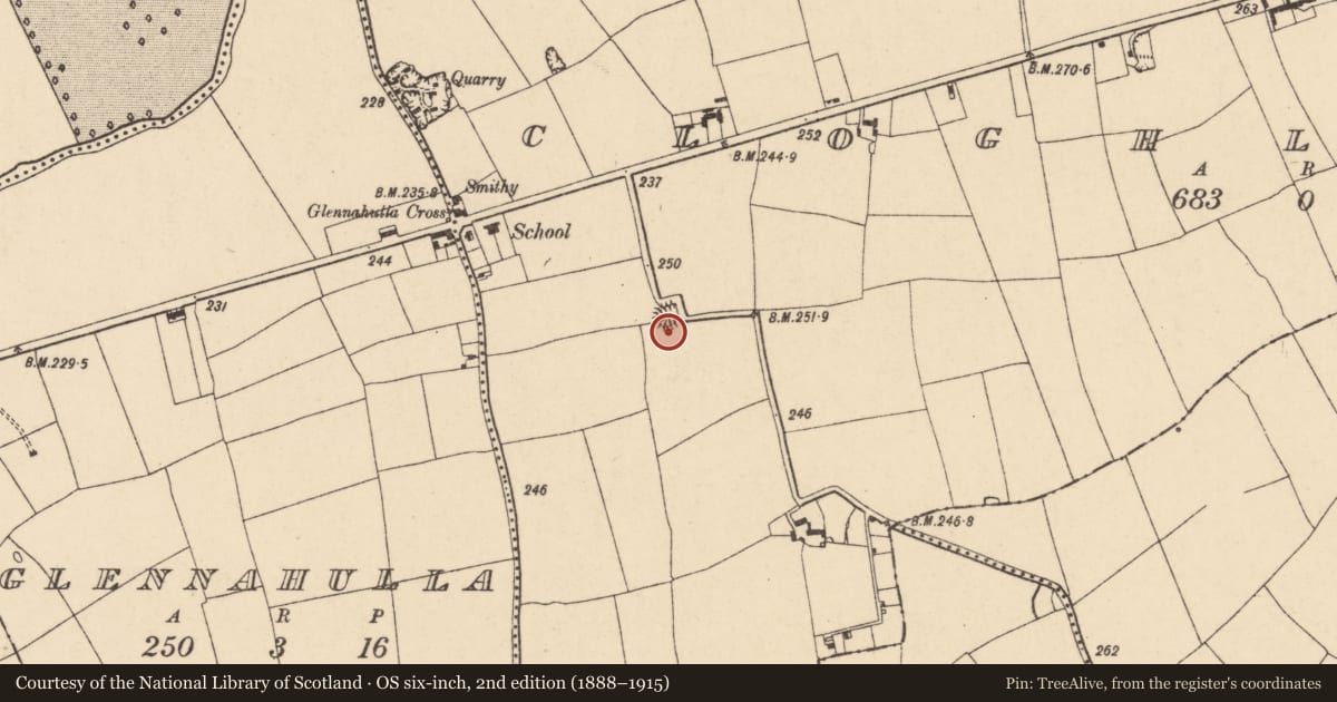 Ordnance Survey six-inch map, 2nd edition (1888–1915) covering the location of Fulacht fia, Cloghleafin (Condons and Clongibbon By., Marshalstown Par.), County Cork, with a pin at the register's coordinates
