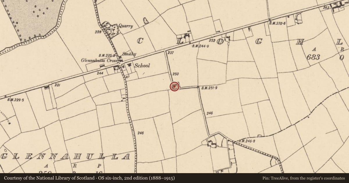 Ordnance Survey six-inch map, 2nd edition (1888–1915) covering the location of Moated site, Cloghleafin (Condons and Clongibbon By., Marshalstown Par.), County Cork, with a pin at the register's coordinates