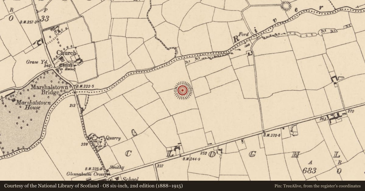 Ordnance Survey six-inch map, 2nd edition (1888–1915) covering the location of Ringfort - rath, Cloghleafin (Condons and Clongibbon By., Kilgullane Par.), County Cork, with a pin at the register's coordinates
