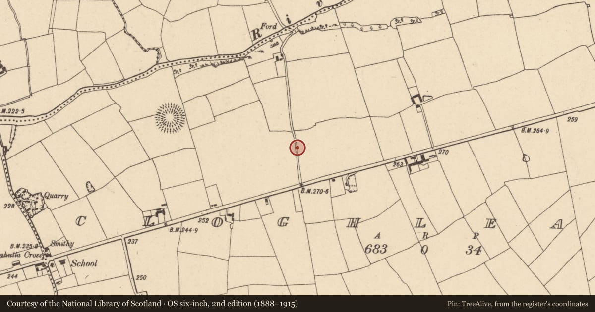 Ordnance Survey six-inch map, 2nd edition (1888–1915) covering the location of Ringfort - rath, Cloghleafin (Condons and Clongibbon By., Kilgullane Par.), County Cork, with a pin at the register's coordinates